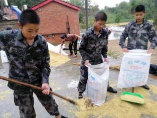 思图少年军校孩子们帮助当地农户收农作物